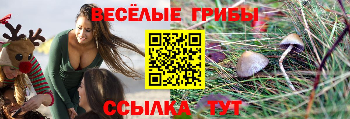 Псилоцибиновые грибы ЛСД  Вход с VPN  Россия 